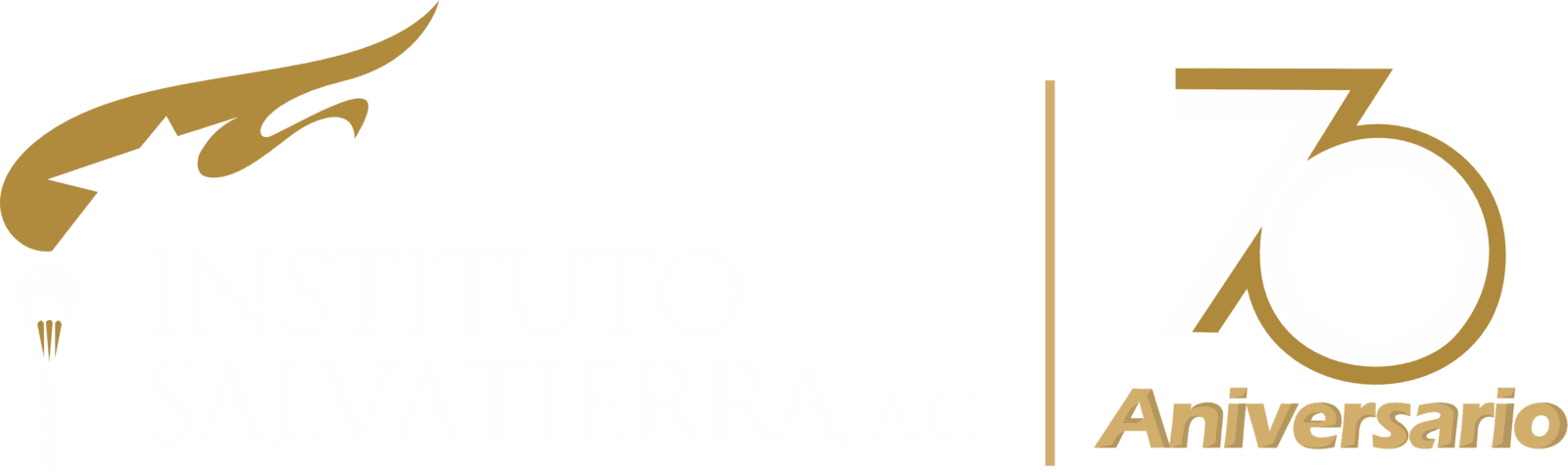 secundariasalva